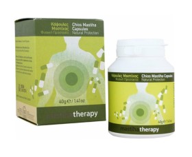 Mastiha Therapy 90caps